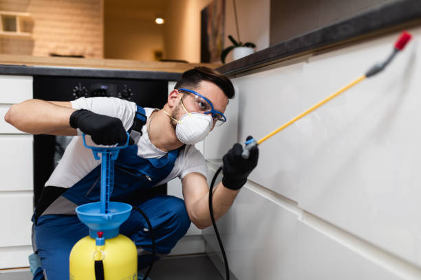 Best Pest Control Near Me  in Delphos, OH