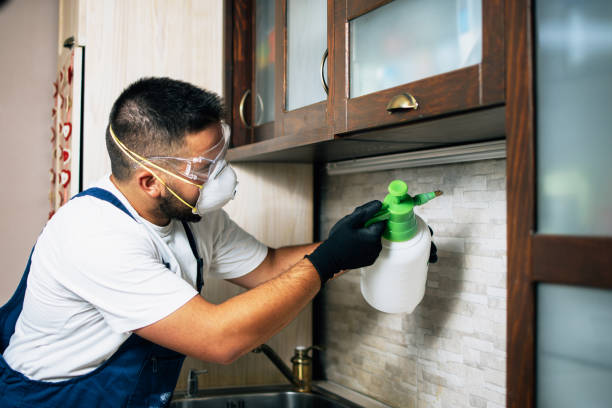 Trusted Delphos, OH Pest Control Experts
