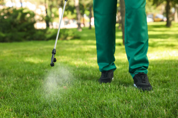 Best Pest Prevention Services  in Delphos, OH