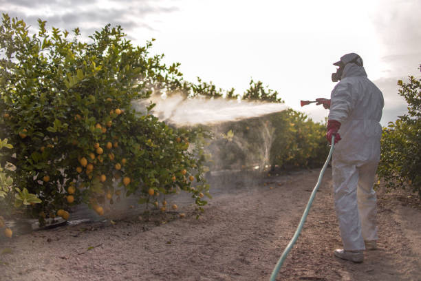 Best Ant Control Services  in Delphos, OH