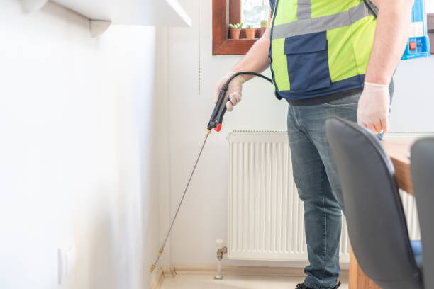 Best Wasp Removal Services  in Delphos, OH
