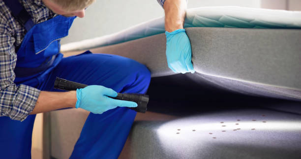 Best Pest Control Cost  in Delphos, OH