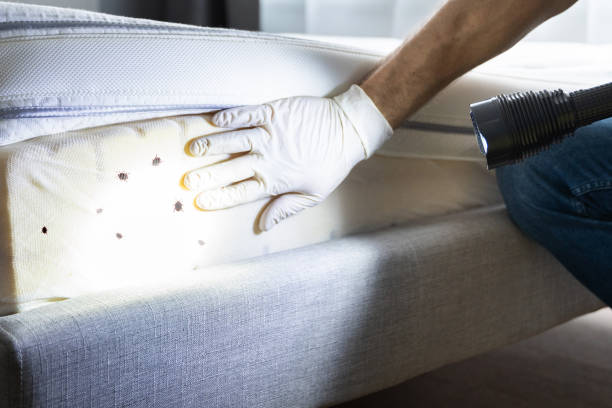 Best Affordable Pest Control Services  in Delphos, OH